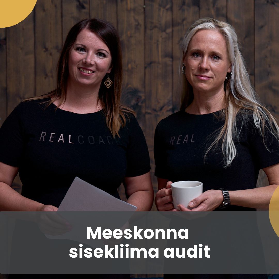 sisekliima audit